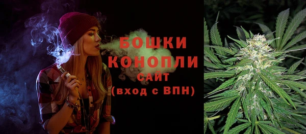 шишки Абдулино