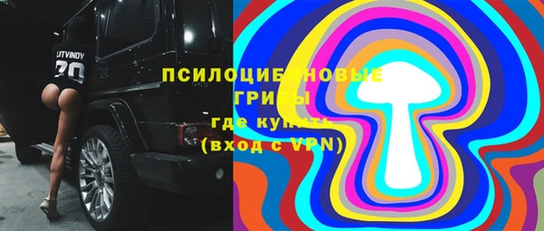 шишки Абдулино