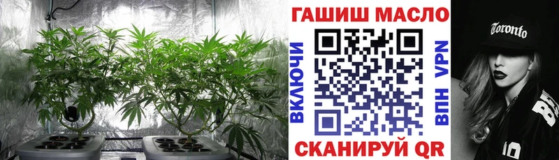 ТГК концентрат  где найти   Южа 