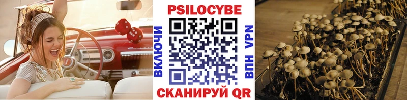 Галлюциногенные грибы GOLDEN TEACHER  магазин продажи   Южа 