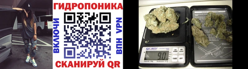 Бошки Шишки Ganja  Южа 